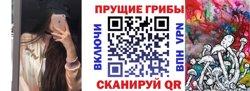 Псилоцибиновые грибы MAGIC MUSHROOMS omg рабочий сайт shop как зайти купить наркотики цена Богородск