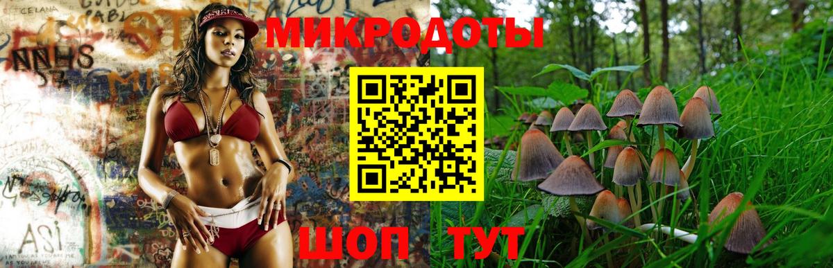 Богородск  Псилоцибиновые грибы GOLDEN TEACHER  Вход с VPN 